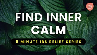 5 Minute Grounding Visualisation for IBS Relief [upl. by Lepper]