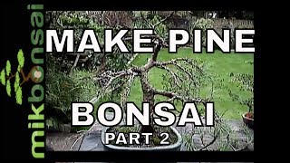 How to Bonsai a Scots Pine Part 2 Care and maintenance of bonsai trees [upl. by Hgeilhsa479]