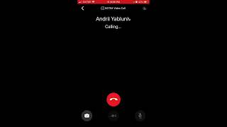 How to start Audio or Video call in BOTIM app [upl. by Nednyl]