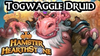 Hearthstone S54  Togwaggle Malygos Druid  Boomsday Project [upl. by Attesoj]