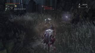 Bloodborne PvP  Savage 1v2 [upl. by Wachter]