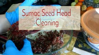 Staghorn Sumac Seed Cleaning before grinding [upl. by Nunci]