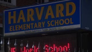 New principal at Harvard Elementary quits before first day after ‘extensive bullying’ [upl. by Phylis]