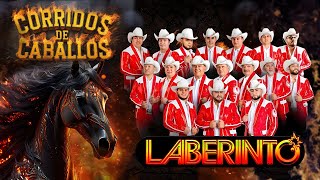 Grupo Laberinto Corridos De Caballos Mix [upl. by Aydne520]