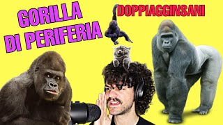 GORILLA DI PERIFERIA  DOPPIAGGINSANI [upl. by Ulani]