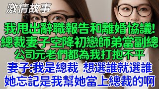 我甩出辭職報告和離婚協議，後來前妻破產時哭慘了！總裁妻子要空降初戀師弟當副總，公司元老們都為我打抱不平，妻子：我是總裁，想選誰就選誰！她忘記了是我幫她當上總裁的啊！ [upl. by Edette]