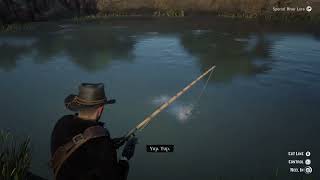 Catching the Legendary Redfin Pickerel rdr2 [upl. by Akcired180]