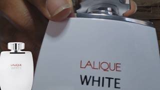 The Family of Encre Noire Lalique White Review [upl. by Adnohral]