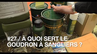 A quoi sert le goudron à sanglier   Les trucs et astuces de Chassons TV n°27 [upl. by Gradey]