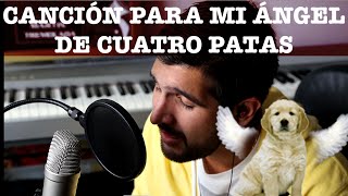 Canción Para Las Mascotas Que Ya No Están Parte 2  Martín Tremolada [upl. by Ainitsirc]