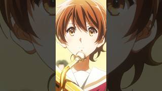 The Legacy of Sound Euphonium [upl. by Alvita]