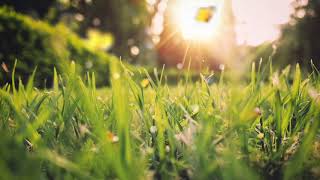 Happy Uplifting Background Music For Spring [upl. by Hniht]