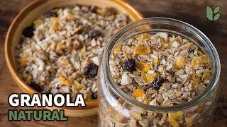 COMO hacer GRANOLA  Muy FACIL Y ECONOMICA  break vegan [upl. by Ycnuahc559]