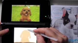 3DS Nintendogs  Cats Cavalier King Charles Spaniel [upl. by Laetitia]