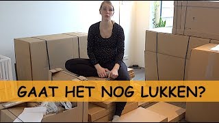 WOONKAMER INRiCHTEN MiSLUKT   Bellinga Familie Vlog 880 [upl. by Ashlie185]