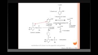 Genetic Basis of PyridoxineResponsive Neonatal Epilepsy in Consanguineous Families [upl. by Atrebor]