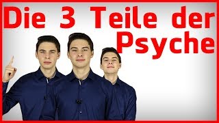 Die 3 Teile deiner Psyche Strukturmodell der Transaktionanalyse nach Berne [upl. by Namia]