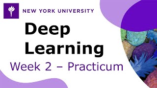 Week 2 – Practicum Training a neural network [upl. by Aetnahc]