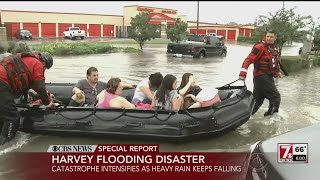 Harvey flooding disaster [upl. by Phillipp]