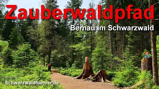 Zauberwaldpfad in Bernau im Schwarzwald [upl. by Lebna556]