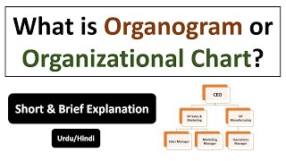 What is Organogram or Organizational Chart [upl. by Eelra]