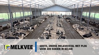 Grote unieke melkveestal met plek voor 400 koeien in Belgie [upl. by Bradan249]