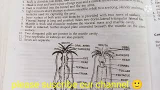 loligo classification habitat and comments zoology practical bsc1comments on loligo [upl. by Engelbert807]