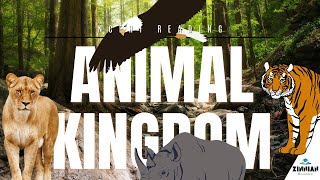 Chapter Four  Animal Kingdom Part Two Class 11 Biology ncertaudiobooks [upl. by Marigolda]