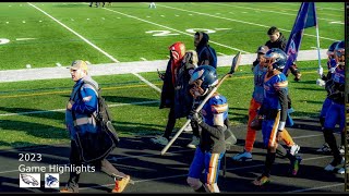 Robbins Vikings CalPark Eagles vs Chicago Hellcats 13U State Championship [upl. by Jonny942]