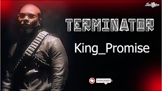 King Promise  Terminator lyric video [upl. by Ahsirpac]