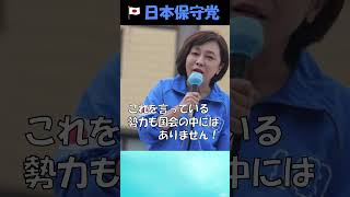 【日本保守党】政策②再エネ賦課金の廃止 有本香 再エネ 衆議院選挙 街頭演説 日本保守党 [upl. by Leiuqeze677]