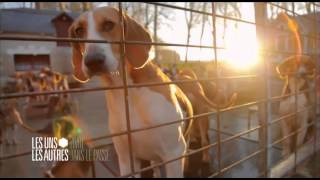 Chateau de Champchevrier reportage France 3 [upl. by Aisayn]