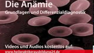 Anämie  Grundlagen und Differenzialdiagnose für die Heilpraktikerausbildung [upl. by Riddle66]