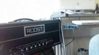 Roost SR20 Valve amp [upl. by Schenck625]