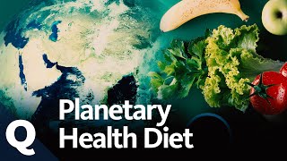 Planetary Health Diet So können wir mit unserer Ernährung das Klima retten  Quarks [upl. by Beverly]