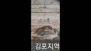 전국 토류판공 드림팀 18775542 김포 토류판 작업 토류판 흙막이공사 토류공 [upl. by Urbas798]