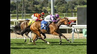 Santa Anita Park Resumen  17 de Marzo 2024 [upl. by Willmert]