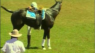 Australian Polocrosse National Championships  Sydney 2006  Intermediate Mens Final  NSW vs QLD [upl. by Desimone]