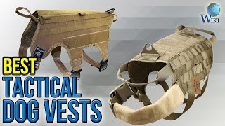 8 Best Tactical Dog Vests 2017 [upl. by Graham536]