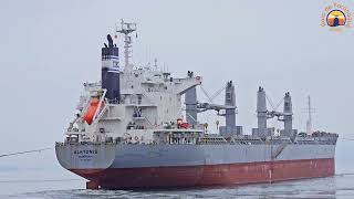 UNBERTHING  VESSEL ALKYONIS  PORT OF PARANAGUA  BRAZIL [upl. by Irem]