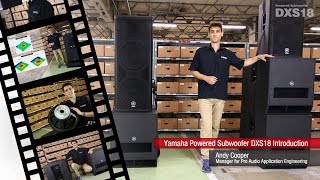 Yamaha Powered Subwoofer DXS18 Introduction [upl. by Obed]