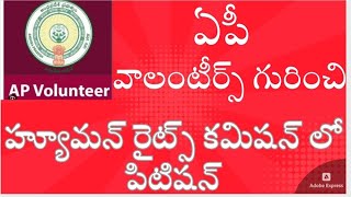 volunteers Court casevolunteers recruitment volunteers hrc complaintవాలంటీర్స్ వ్యవస్థ [upl. by Sampson783]