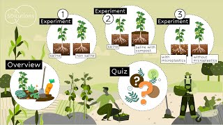 Soil salinization and plant growth DIY experiments [upl. by Annah]