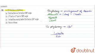 In 12 distichous phyllotaxy [upl. by Farwell969]