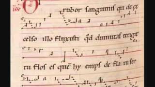 Hildegard von Bingen O rubor sanguinis with score [upl. by Jaeger]