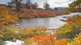 Argentina Otoño en la Patagonia  Autumn in Patagonia [upl. by Catina307]