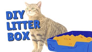 How To Make A Large Litter Box For Cats  Two Crazy Cat Ladies [upl. by Belden490]