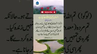 Insan ki aukatIslam shorts urdu shortsfeed trending islamic [upl. by Otrebogir]