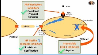 Antiplatelet Aspirin Clopidogrel and Abciximab in 2 mins [upl. by Etteniotna33]