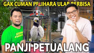 PANJI PETUALANG PUNYA BURUNG LANGKA SEGACOR INI TERNYATA SUKA BANGET BURUNG KICAU [upl. by Vi]